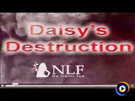 daisy destructiom|daisys destruction full video.